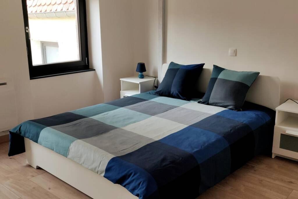 Le Blue, Appartement De Standing En Hyper-Centre Sarreguemines Exterior photo